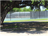 Tennis Courts and Tree