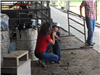 Woman putting a riding helmet onto a child
