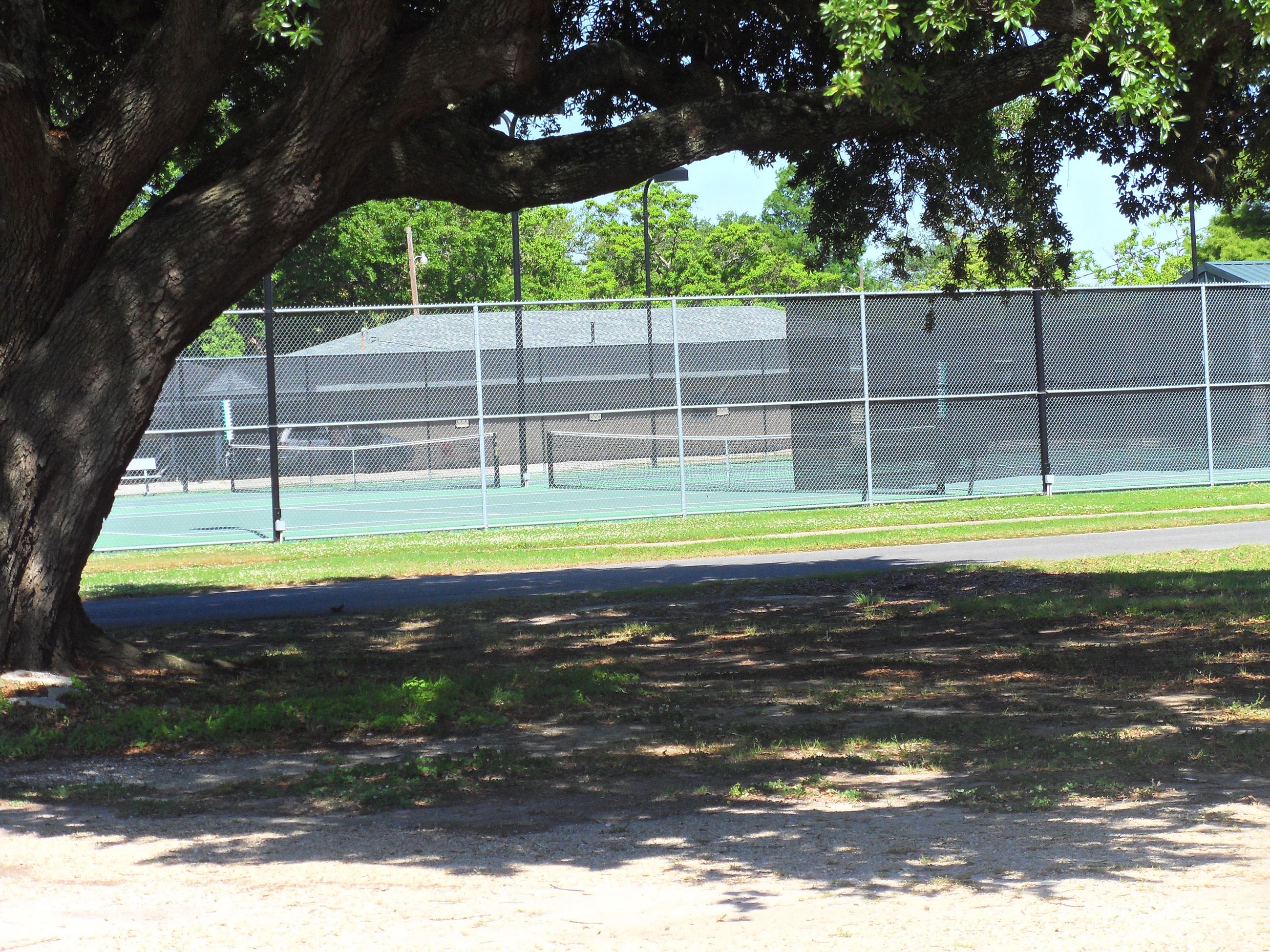 Tennis Courts and Tree