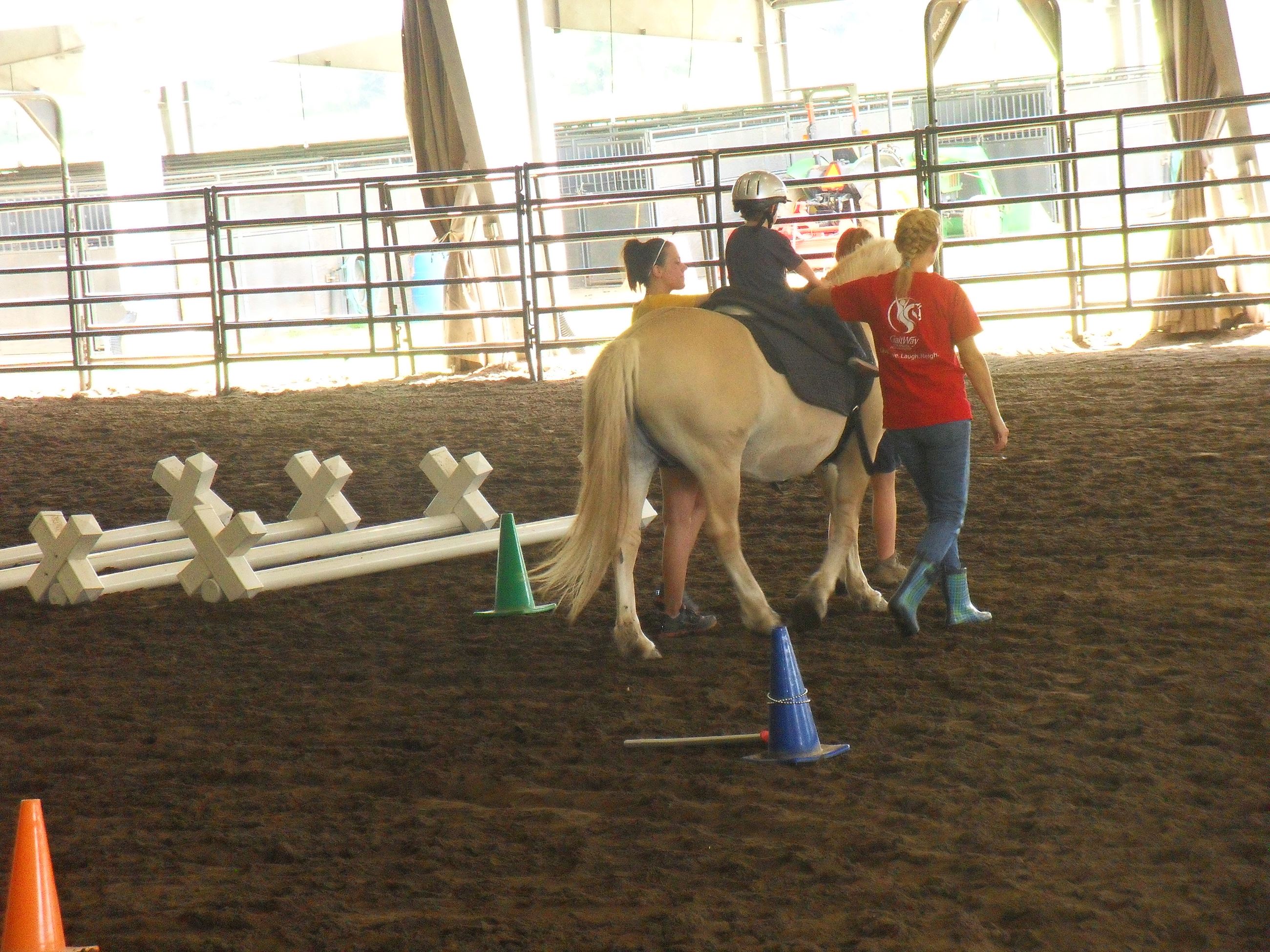 Horse trotting between cones