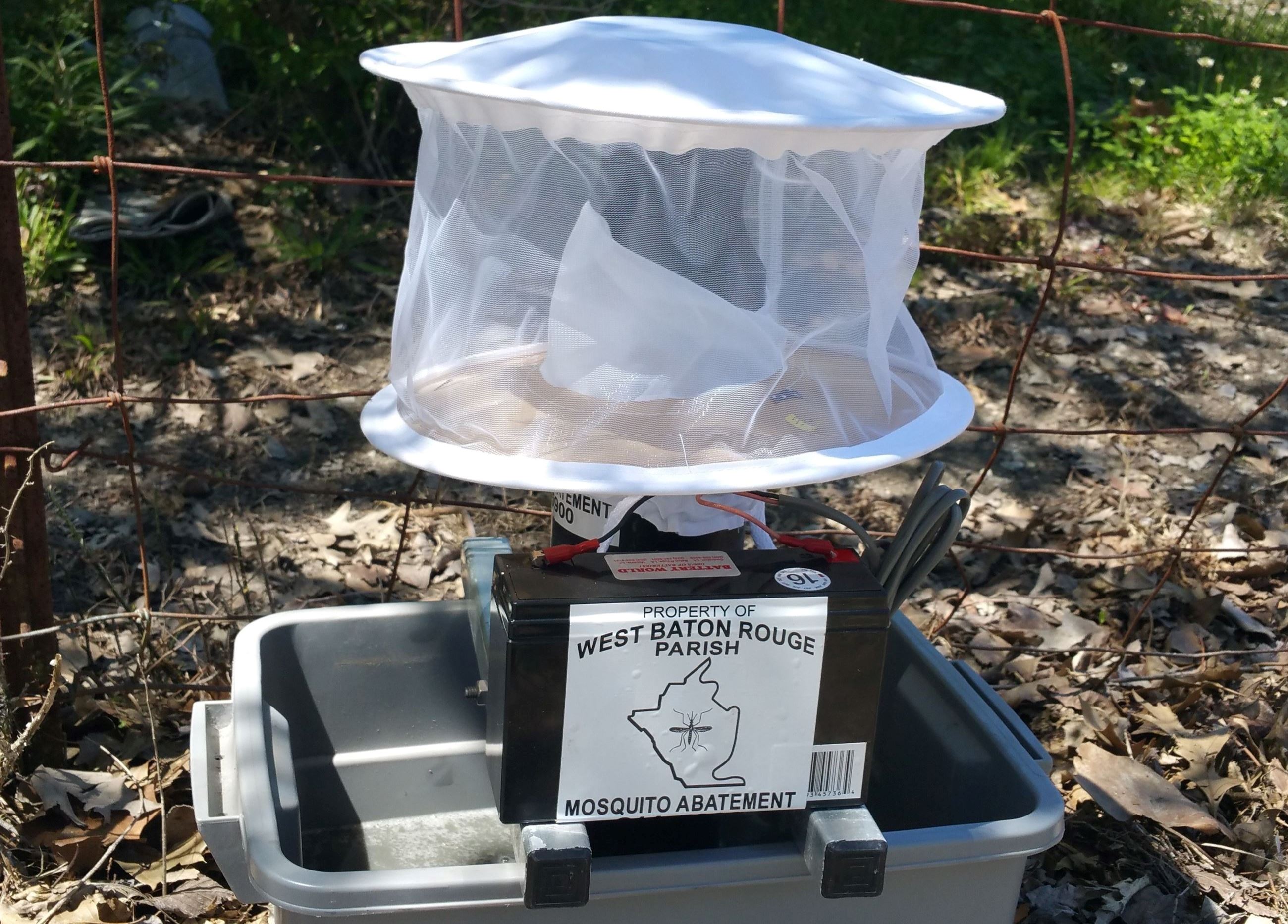 Gravid Mosquito Trap