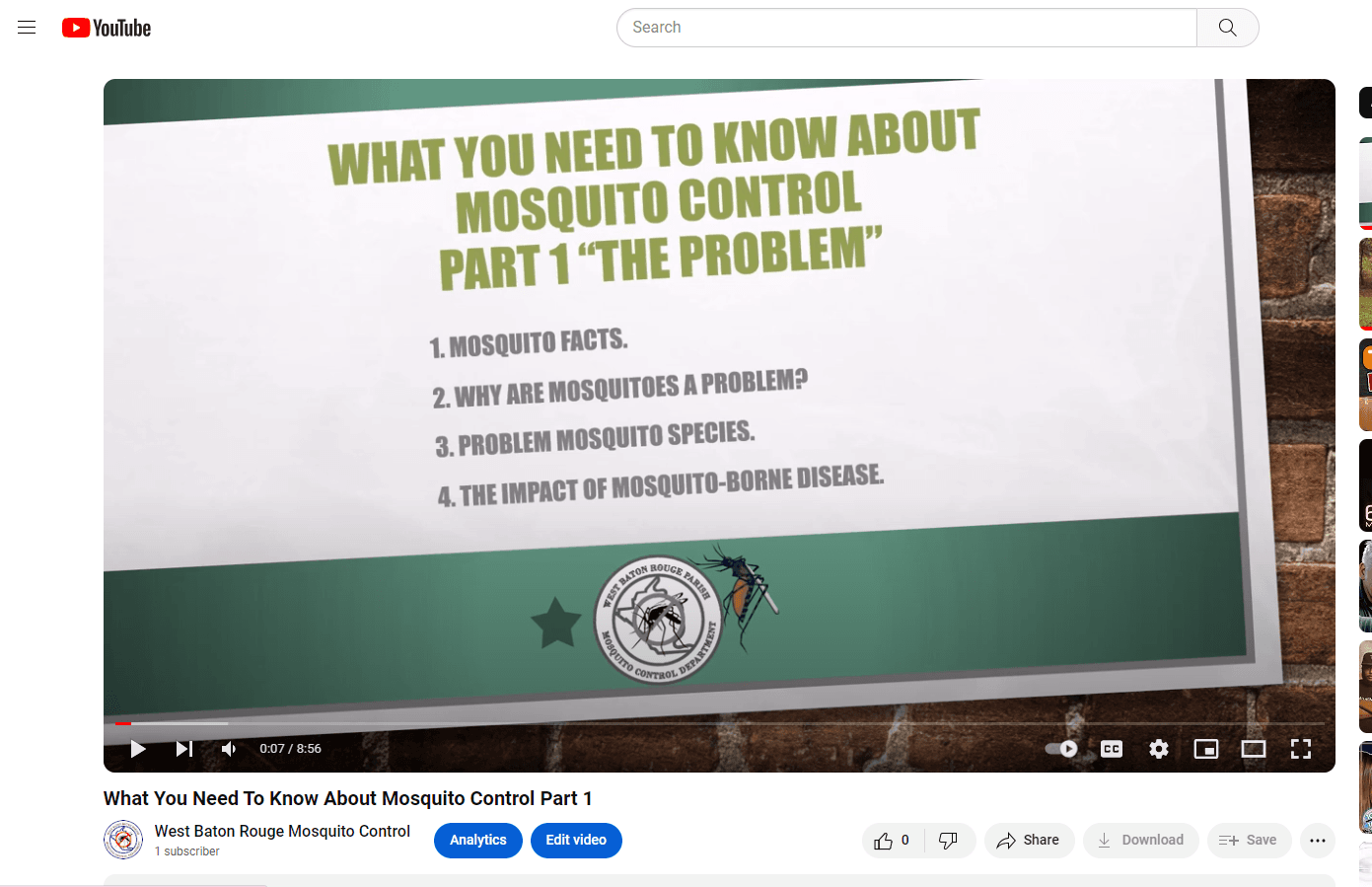 Youtube mosquito presentation